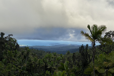 Puerto Rico landscape